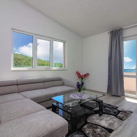 Conte Cikara Apartment Saricevi 外观 照片